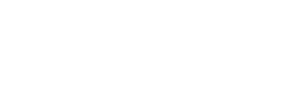 Stream-line-shipping-logo-w